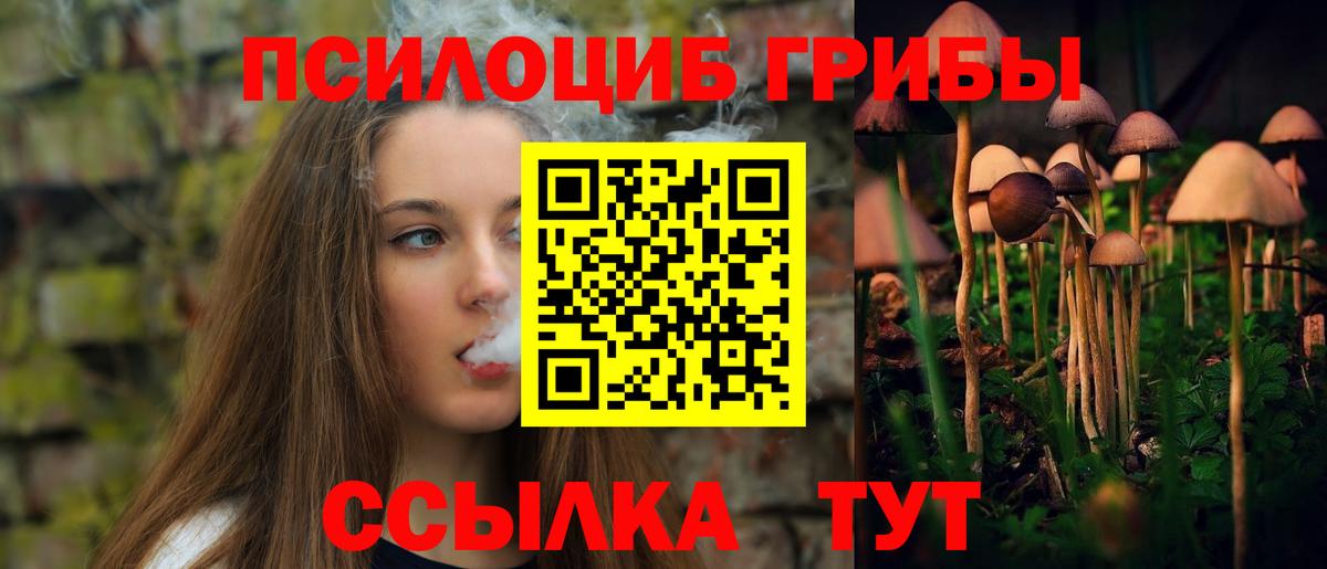 Минусинск  Псилоцибиновые грибы прущие грибы  Вход с VPN 
